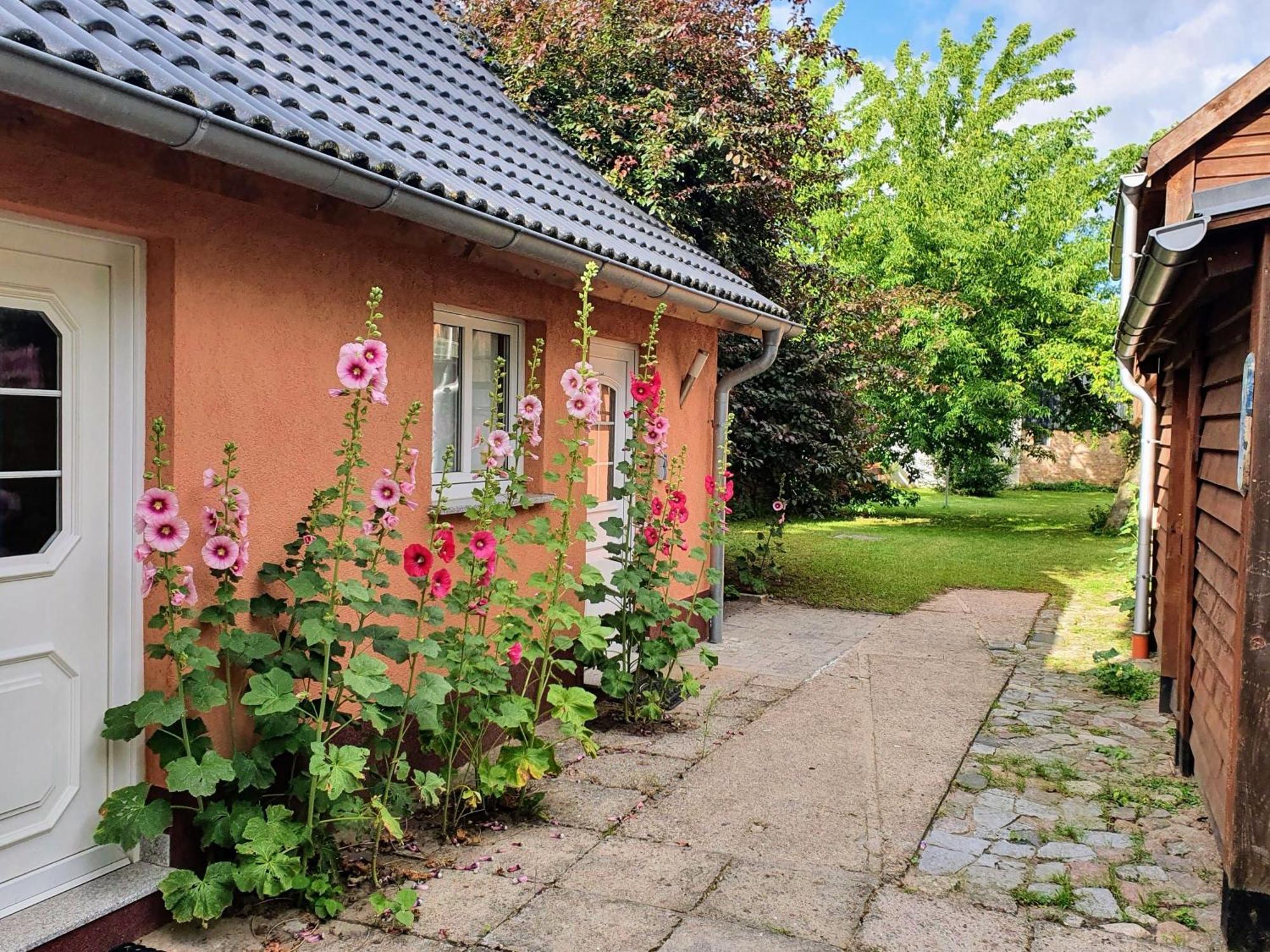 Ferienhaus Moewe Hanshagen  Exterior photo